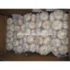 China cold storage fresh Garlic small packing good quality low price #5 small image