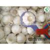 China garlic price/Natual Jinxiang garlic/ Garlic exporters china #5 small image