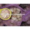 2017 new garlic in usa with best price garlic health benefits #3 small image