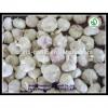 2017 China hot sale wild garlic for sale with good quality cheap price #3 small image