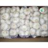 2017 wholesale garlic wholesale garlic buyers wholesale garlic price #5 small image