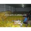 hot sale high quality garlic seed price #5 small image