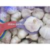 2017 fresh garlic factory 50mm for sale #2 small image