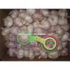 2017 fresh garlic factory 50mm for sale #3 small image
