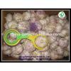 2017 Natural garlic 50mm with high quality and best price #3 small image