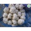 China garlic price/Natual Jinxiang garlic/ Garlic exporters china #4 small image