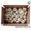China garlic price/Natual Jinxiang garlic/ Garlic exporters china #6 small image
