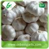 Farm chinese fresh garlic manufacture fresh pure white garlic with great price #5 small image