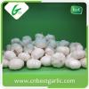 Crop fresh nature white garlic high quality natural garlic for sale #1 small image
