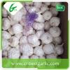 Wholesale fresh white garlic price with 3pcs purple garlics with high quality #1 small image