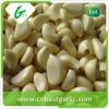 Wholesale fresh white garlic price with 3pcs purple garlics with high quality #2 small image