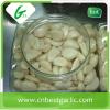 Fresh peeled garlic cloves price #5 small image