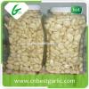 Wholesale peeled frozen garlic cloves price #1 small image