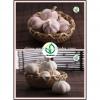2017 new crop China cheap garlic for wholesale #1 small image