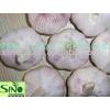 jinxiang garlic #1 small image