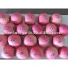 Chinese red fuji apple in 20kg cartons #1 small image