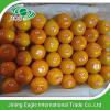 Chinese fresh sweet baby mandarin orange fruit #2 small image