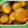 Fresh nanfeng small honey mandarin orange fruit #2 small image