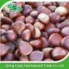 Hot selling top quality fresh chestnuts wholesale #3 small image