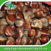 Hot selling top quality fresh chestnuts wholesale #4 small image