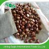 Hot selling top quality fresh chestnuts wholesale #5 small image