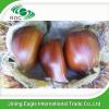 New crop Chinese fresh delicious chestnuts #1 small image