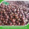 New crop Chinese fresh delicious chestnuts #3 small image