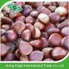 New crop Chinese fresh delicious chestnuts #4 small image