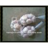 2017new crop white garlic from China #1 small image