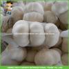Chinese Snow White Garlic Rich Farmer Brand