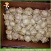 Cheapest Price New Crop Fresh Normal White Garlic 5.0cm In 10 kg Carton For Poland #4 small image