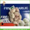 Cheapest Price New Crop Fresh Normal White Garlic 5.0cm In 10 kg Carton For Poland #5 small image