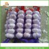 Best Price Fresh Normal White Garlic 5.0CM In 8 kg Mesh Bag For Qatar #1 small image
