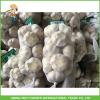 Best Price Fresh Normal White Garlic 5.0CM In 8 kg Mesh Bag For Qatar #2 small image