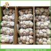 Best Price Fresh Normal White Garlic 5.0CM In 8 kg Mesh Bag For Qatar #4 small image