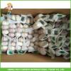 Best Price Fresh Normal White Garlic 5.0CM In 8 kg Mesh Bag For Qatar #5 small image