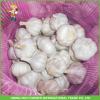 High Qulity And Good Price Fresh Normal White Garlic 5.0cm /5p In 10 kg Carton For Russia #2 small image