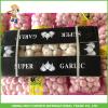 Hot Sale Fresh Normal White Garlic 5.0 cm /5p In 4 Mesh Bag For Jordan #2 small image