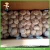 Hot Sale Fresh Normal White Garlic 5.0 cm /5p In 4 Mesh Bag For Jordan #3 small image