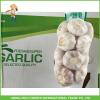 Hot Sale Fresh Normal White Garlic 5.0 cm /5p In 4 Mesh Bag For Jordan #4 small image