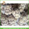 Hot Sale Fresh Normal White Garlic 5.0 cm /5p In 4 Mesh Bag For Jordan #5 small image