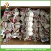 2017 Hot Sale Fresh Pure White Garlic 5.0cm /4p In 10 kg Mesh Bag For Sultan #5 small image