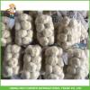 Fresh Pure White Garlic 5.0 cm In 10kg Carton For Egypt Cheapest Price High Quality #5 small image