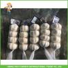 2017 New Crop Fresh Pure White Garlic Mesh Bag In Carton Good Price High Quality #1 small image