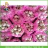 2017 New Crop Fresh Pure White Garlic Mesh Bag In Carton Good Price High Quality
