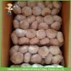 2017 Fresh Normal White Garlic 5.5CM In 10KG Carton For Brazil Cheapest Price High Quality #1 small image