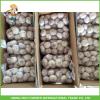 2017 Fresh Normal White Garlic 5.5CM In 10KG Carton For Brazil Cheapest Price High Quality #3 small image