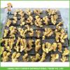 2017 Fresh Ginger Factory Directly Supply For Sale #1 small image