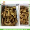 2017 Yellow Ginger Air Dry Ginger In China #1 small image