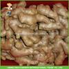 Air Dried Ginger 250g up To Genova Port Supplier #1 small image